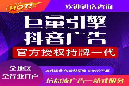 竞价广告的创意执行与效果评估——多行业案例分析